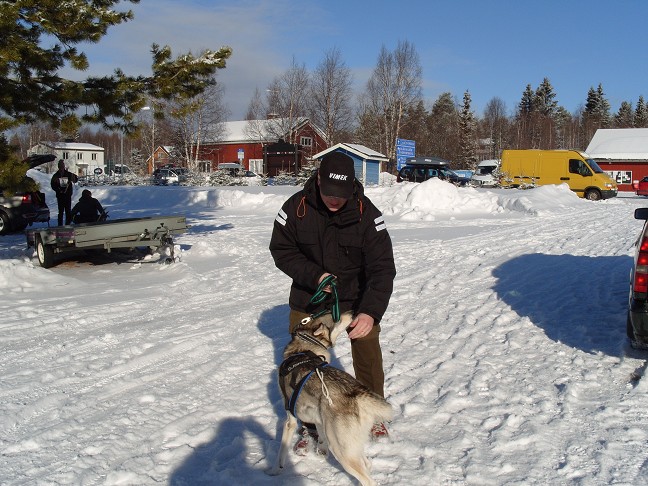 Joel försöker prata taktik med sin hund Ilex (tror det stavas så)